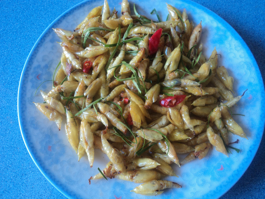 Nhộng sâu muồng rang vàng ươm