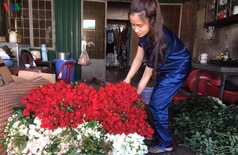 Chị Thủy chuẩn bị hoa hồng để chuyển đi tiêu thụ.