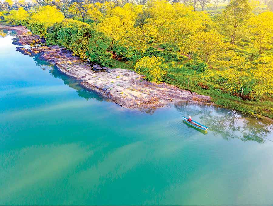 Cảnh sắc rực rỡ của hoa muồng vàng thôn Tây Hồ (xã Bàu Cạn, huyện Chư Prông) thu hút đông đảo du khách dịp cuối năm. Ảnh: HOÀNG QUỐC VĨNH Cảnh sắc rực rỡ của hoa muồng vàng thôn Tây Hồ (xã Bàu Cạn, huyện Chư Prông) thu hút đông đảo du khách dịp cuối năm. Ảnh: HOÀNG QUỐC VĨNH