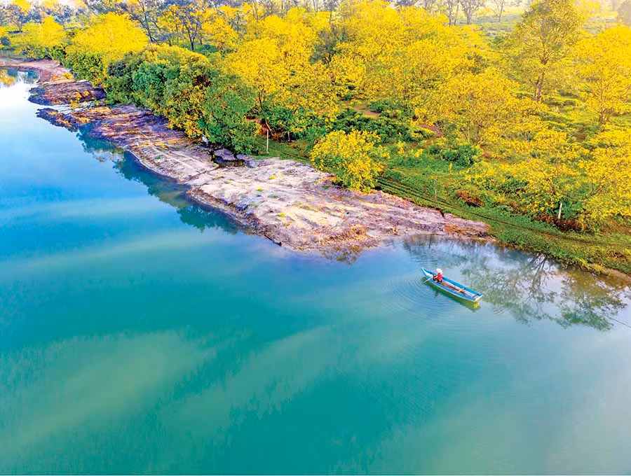 Cảnh sắc rực rỡ của hoa muồng vàng thôn Tây Hồ (xã Bàu Cạn, huyện Chư Prông) thu hút đông đảo du khách dịp cuối năm. Ảnh: HOÀNG QUỐC VĨNH Cảnh sắc rực rỡ của hoa muồng vàng thôn Tây Hồ (xã Bàu Cạn, huyện Chư Prông) thu hút đông đảo du khách dịp cuối năm. Ảnh: HOÀNG QUỐC VĨNH