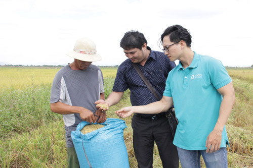 Đại diện Phòng NNPTNT huyện Ea Súp và HTX Giảm nghèo Ea Súp kiểm tra lúa ST24 tại mô hình sản xuất hữu cơ. Ảnh: P.V