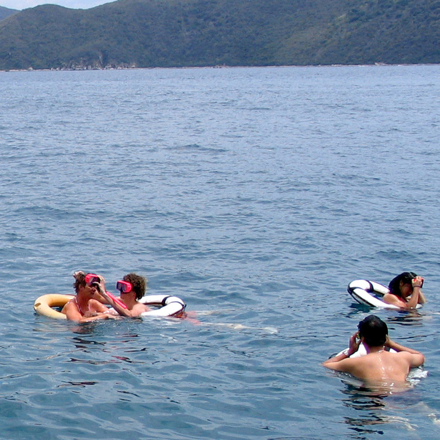 Với những vùng biển nông chỉ cần đeo kính bơi và ụp mặt xuống biển là san hô - Ảnh: Q.NAM