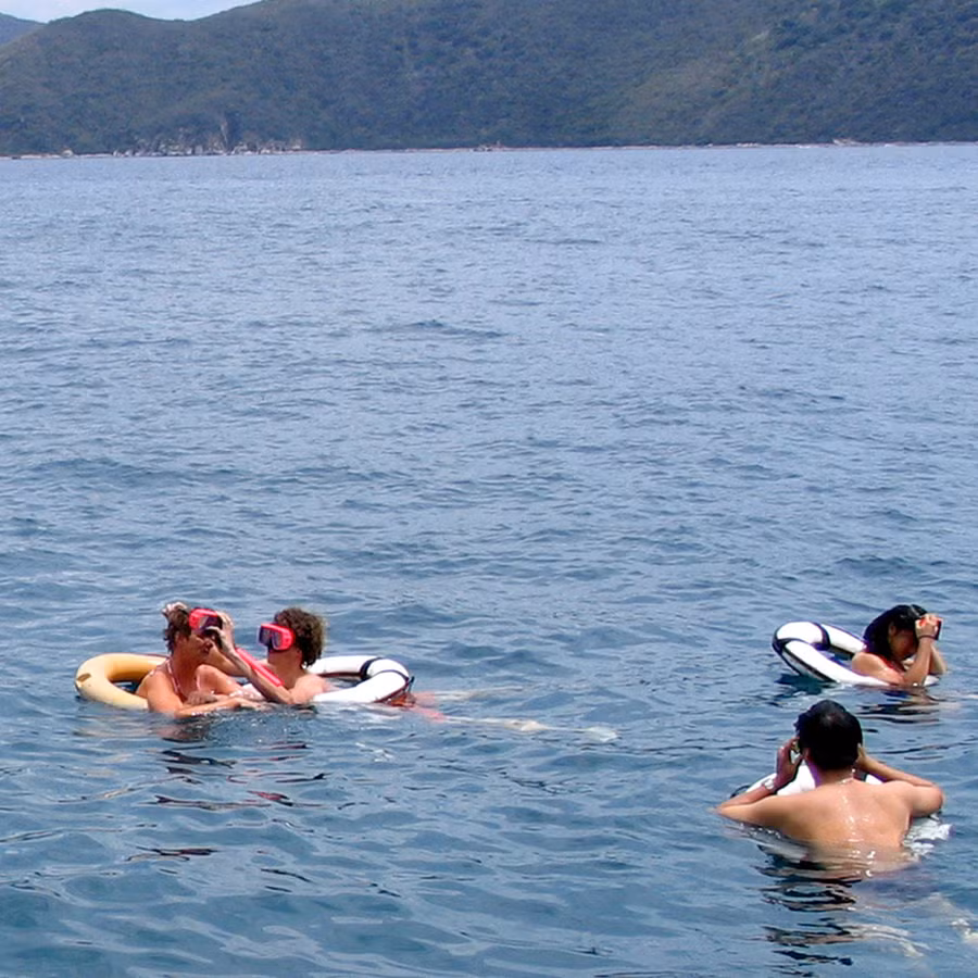 Với những vùng biển nông chỉ cần đeo kính bơi và ụp mặt xuống biển là san hô - Ảnh: Q.NAM