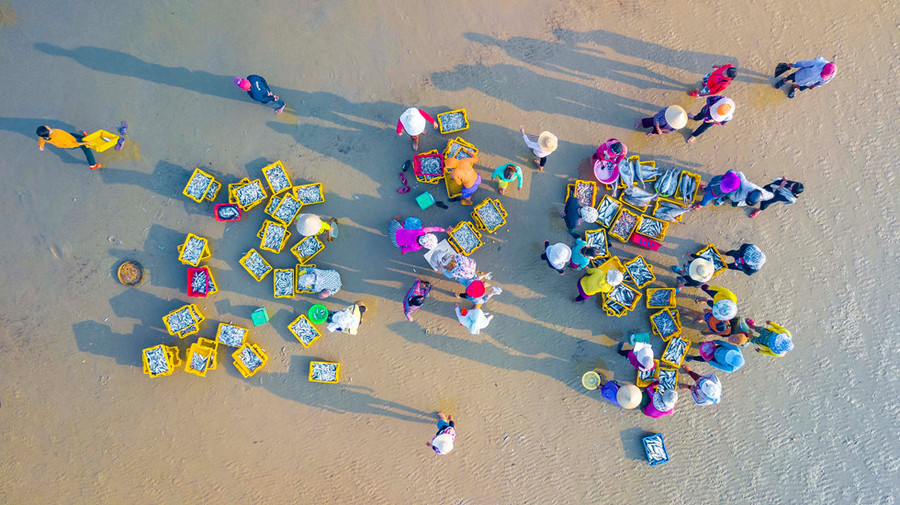 Hoàng hôn trên làng biển