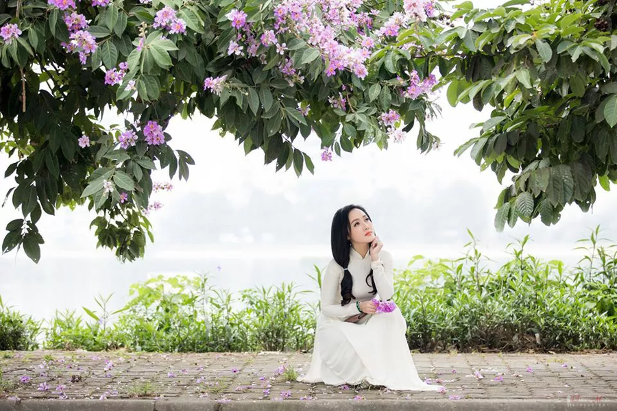 "Này cô bé bên bằng lăng tím nở/ Xin em đừng để nỗi nhớ đi hoang/ Chiều buông rơi từng sợi nắng bẽ bàng/ Em có thấy hạ sang mùa ly biệt/ Chiều đầu hạ vần thơ tình anh viết/ Tím nồng nàn/ Tím da diết/ Tím bằng lăng" là vần thơ người hâm mộ gửi tặng BTV Hoài Anh khi chia sẻ những bức ảnh này. (Ảnh: Minh Thức - Dương Minh)