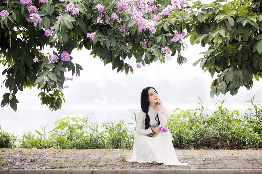 "Này cô bé bên bằng lăng tím nở/ Xin em đừng để nỗi nhớ đi hoang/ Chiều buông rơi từng sợi nắng bẽ bàng/ Em có thấy hạ sang mùa ly biệt/ Chiều đầu hạ vần thơ tình anh viết/ Tím nồng nàn/ Tím da diết/ Tím bằng lăng" là vần thơ người hâm mộ gửi tặng BTV Hoài Anh khi chia sẻ những bức ảnh này. (Ảnh: Minh Thức - Dương Minh)