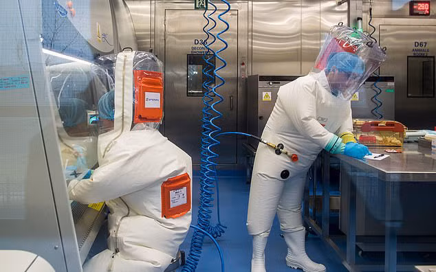 Các nhà khoa học đã đưa ra bằng chứng cho thấy SARS-CoV-2 gây đại dịch Covid-19 có khả năng 