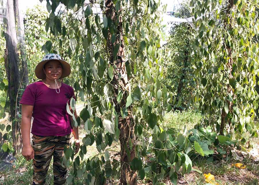 Chị Kpă Lon (làng Klăh, xã Ia Mơr, huyện Chư Prông) bên vườn hồ tiêu của gia đình. Ảnh: A.H