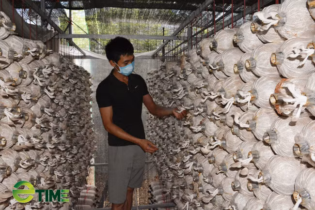 Mặc dù khởi nghiệp với nhiều khó khăn nhưng nhờ đam mê, chịu khó anh Vinh bước đầu đã có thành công.