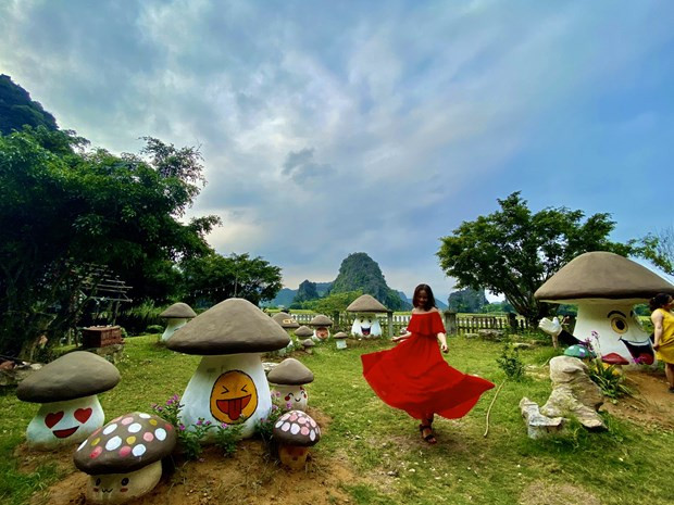 Vườn nấm cổ tích. (Ảnh: CTV/Vietnam+)