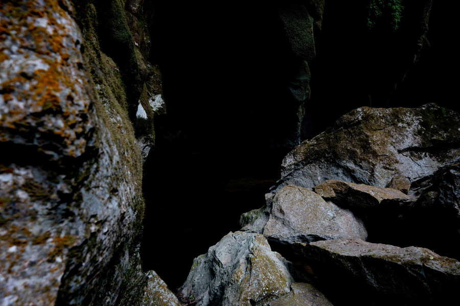 Một hốc đá hoang sơ trong hố sụt - Ảnh: Jungle Boss