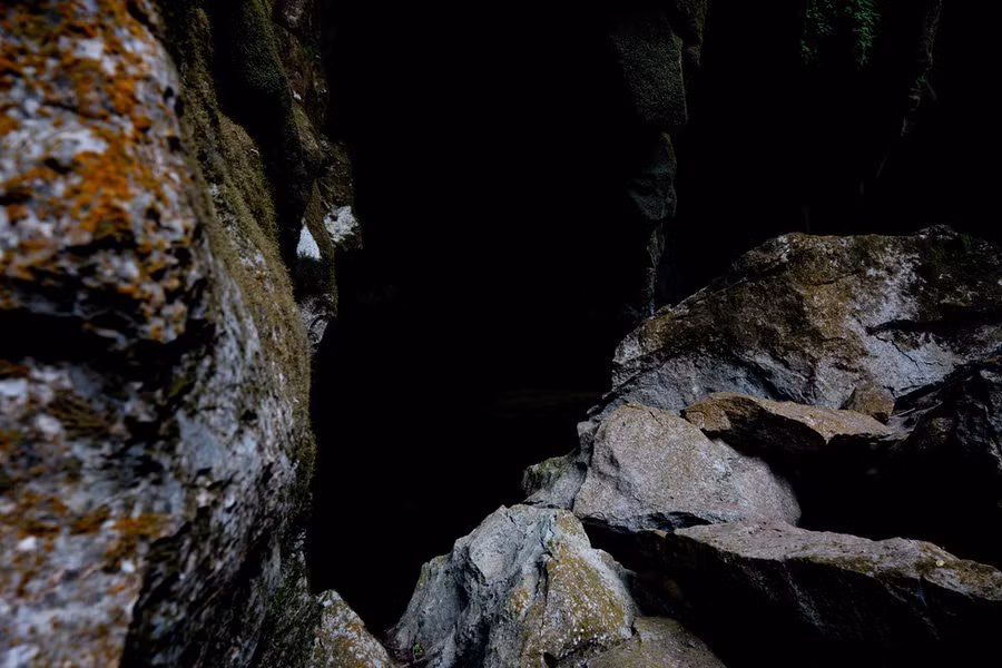 Một hốc đá hoang sơ trong hố sụt - Ảnh: Jungle Boss