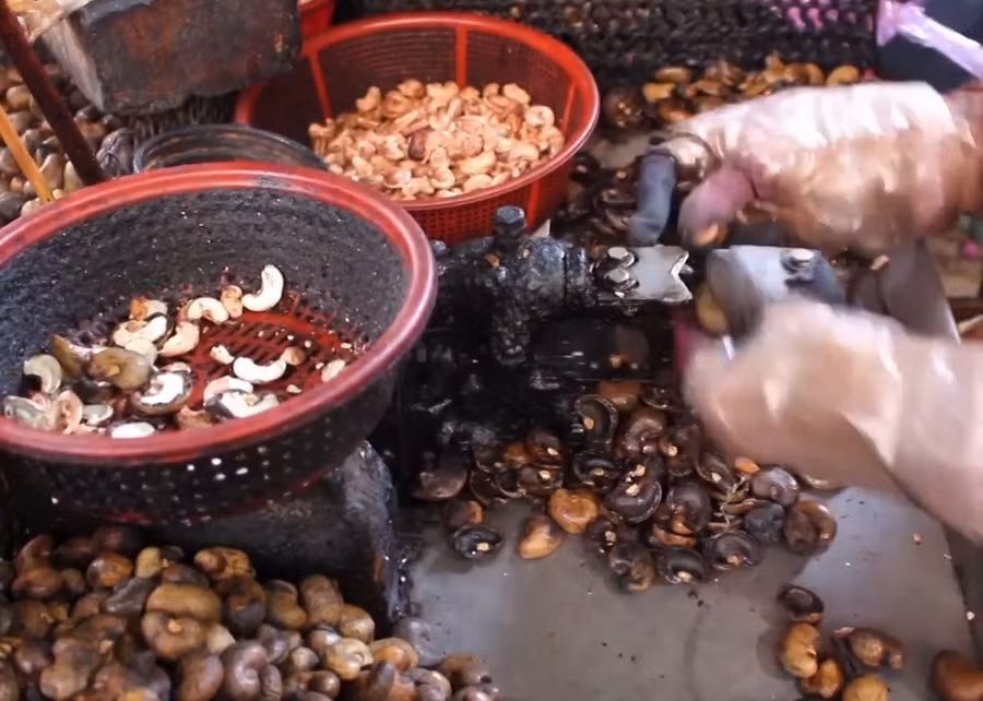  Để tiết kiệm chi phí, các doanh nghiệp chế biến điều ở Đức Linh chuyễn sang làm thủ công. Ảnh: T.L