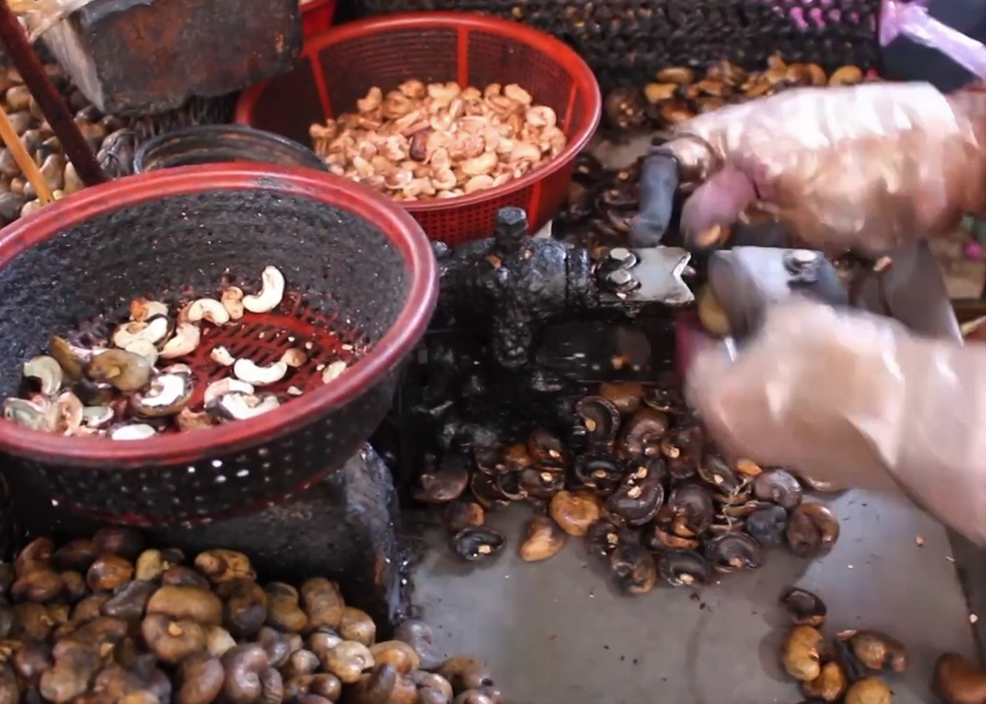  Để tiết kiệm chi phí, các doanh nghiệp chế biến điều ở Đức Linh chuyễn sang làm thủ công. Ảnh: T.L