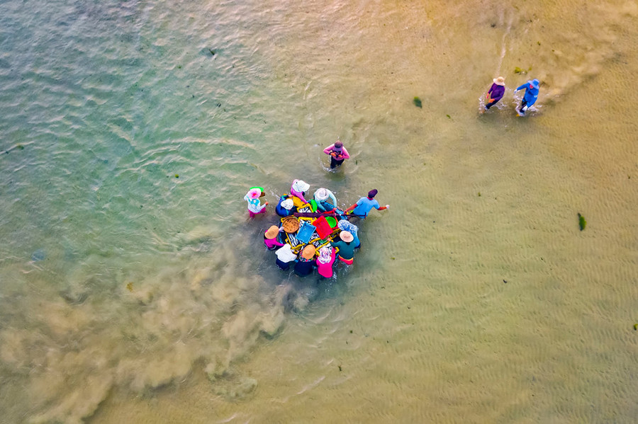 Khi ngư dân dùng thúng đưa từng rổ cá vào thì những người buôn cá tranh thủ bơi ra giành rổ cá tươi ngon nhất