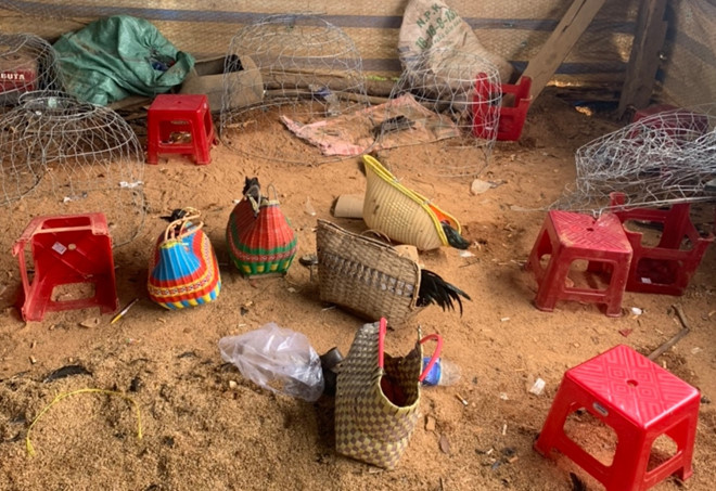 Tang vật tại tụ điểm đá gà ăn tiền ẢNH: G.B