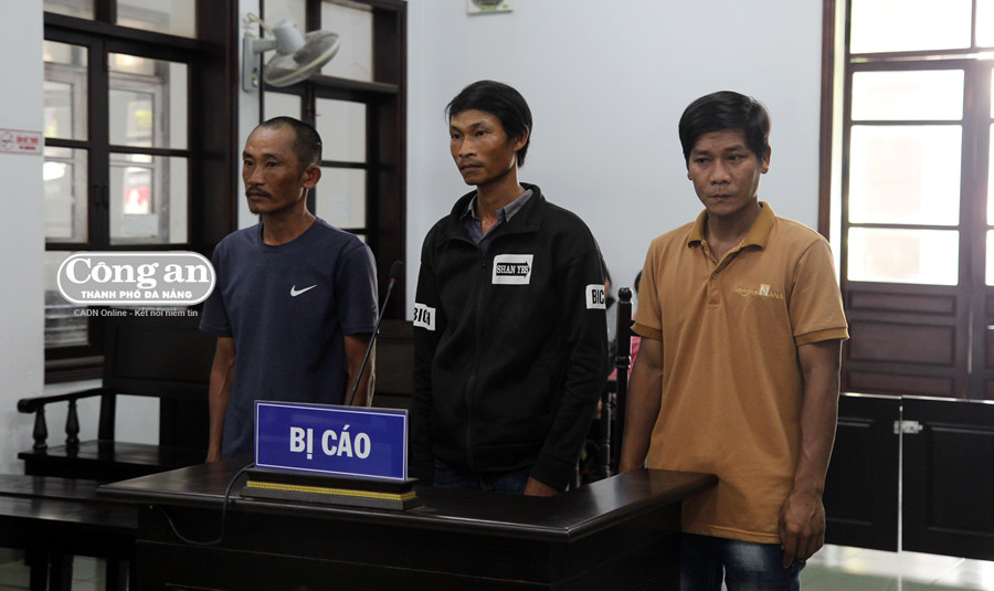 Bị cáo Quan, Tuấn và Xin tại tòa. Bị cáo Quan, Tuấn và Xin tại tòa.