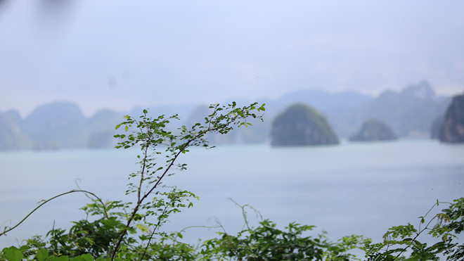 Càng lên cao, du khách được ngắm nhìn vẻ đẹp ngoại hạng của vịnh Hạ Long ẢNH LÃ NGHĨA HIẾU