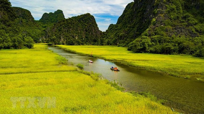 Từ giữa tháng 5, cánh đồng lúa ở Tam Cốc (xã Ninh Hải, Hoa Lư, Ninh Bình) bắt đầu chín rộ. (Ảnh: Minh Đức/TTXVN) Từ giữa tháng 5, cánh đồng lúa ở Tam Cốc (xã Ninh Hải, Hoa Lư, Ninh Bình) bắt đầu chín rộ. (Ảnh: Minh Đức/TTXVN)