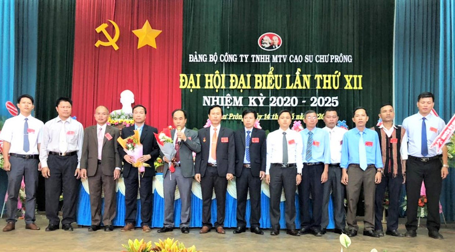 Ra mắt Ban chấp Đảng bộ Công ty TNHH một thành viên Ca su Chư Prông lần thứ XII, nhiệm kỳ 2020-2025. Ảnh: Đinh Yến 