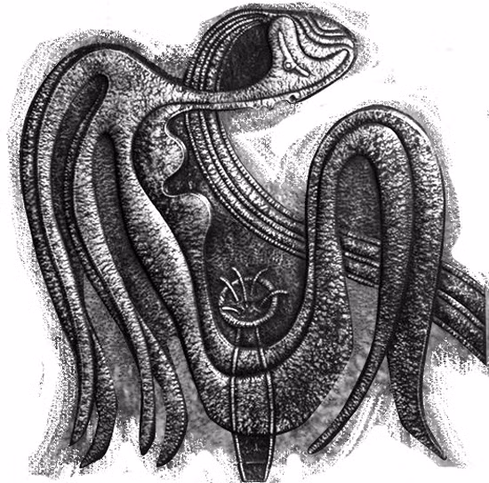 Minh họa: Huy Hiệp