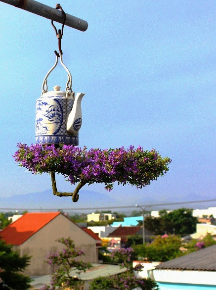  Dị nhân Lê Thạnh tận dụng tất cả các loại bình trà, ấm chén, chum, ché rượu để tạo ra nhiều tác phẩm cho cây bonsai ngược của mình