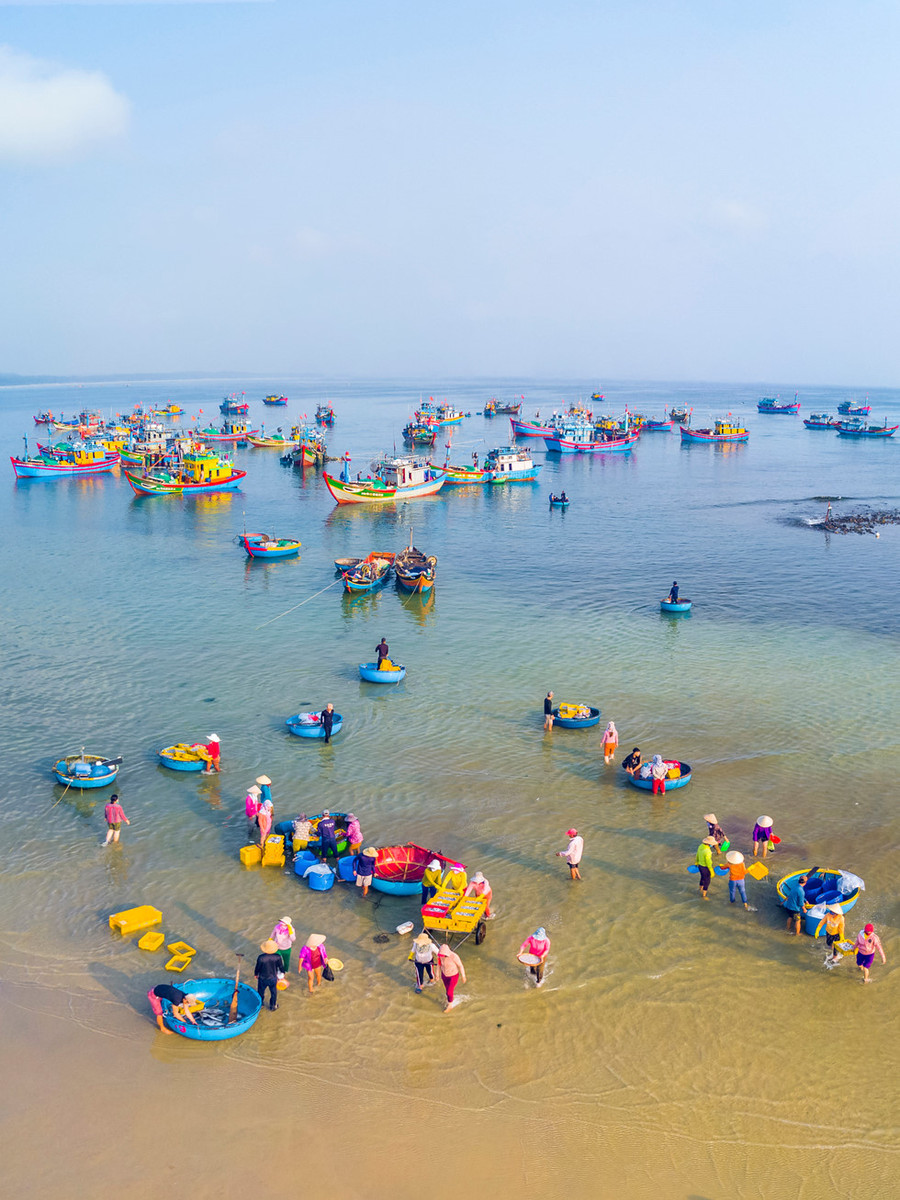 Nhộn nhịp sáng sớm khi tàu cá vào