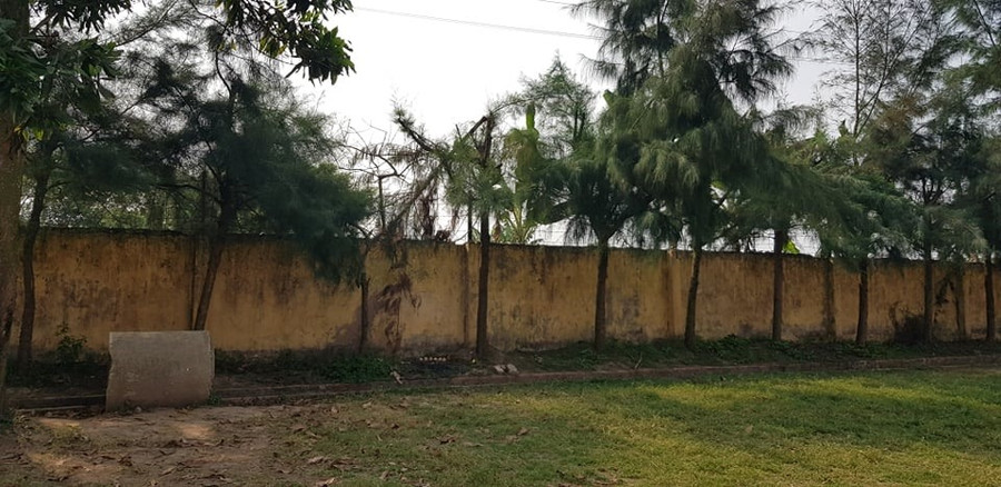 Hàng phi lao sau sân trường THCS Quyết Thắng nơi xảy ra vụ tai nạn. Ảnh TT Hàng phi lao sau sân trường THCS Quyết Thắng nơi xảy ra vụ tai nạn. Ảnh TT