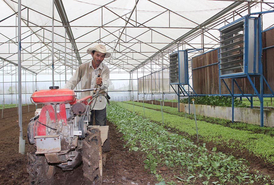 Công ty TNHH một thành viên Hương Đất An Phú (TP. Pleiku) đưa cơ giới vào sản xuất rau màu. Ảnh: N.D
