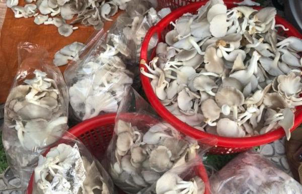 Hiện nay, anh Tuấn đã thành lập Hợp tác xã Nông nghiệp Tân Phú Quý (thôn Phú Quý, xã Đại Hiệp, huyện Đại Lộc, tỉnh Quảng Nam).  Hiện nay, anh Tuấn đã thành lập Hợp tác xã Nông nghiệp Tân Phú Quý (thôn Phú Quý, xã Đại Hiệp, huyện Đại Lộc, tỉnh Quảng Nam).