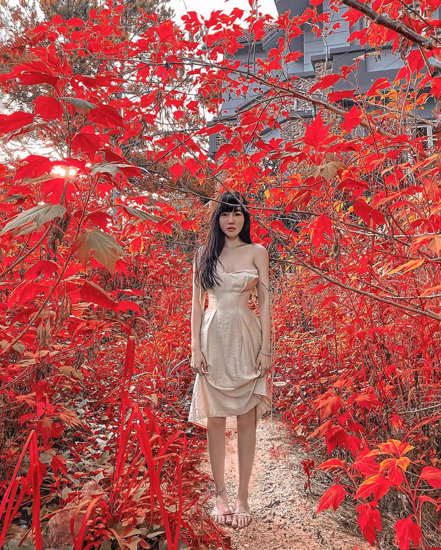 Elly Trần diện đồ mỏng manh, gợi cảm: “Đôi khi chúng ta cần phải cảm ơn nghịch cảnh vì đó chính là lưới lọc miễn phí để cho ta phân định đâu là bạn và đâu là bè”.