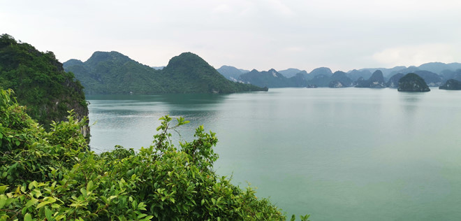 Khám phá khu rừng nguyên sinh trên đảo quả là trải nghiệm đáng nhớ với du khách ẢNH LÃ NGHĨA HIẾU