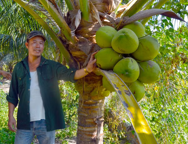 Trang trại tổng hợp của ông Trần Trọng Tú. Ảnh: T.Đ