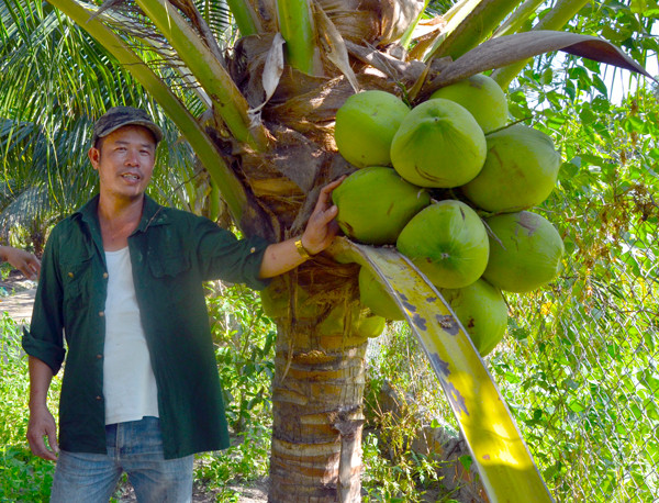 Trang trại tổng hợp của ông Trần Trọng Tú. Ảnh: T.Đ