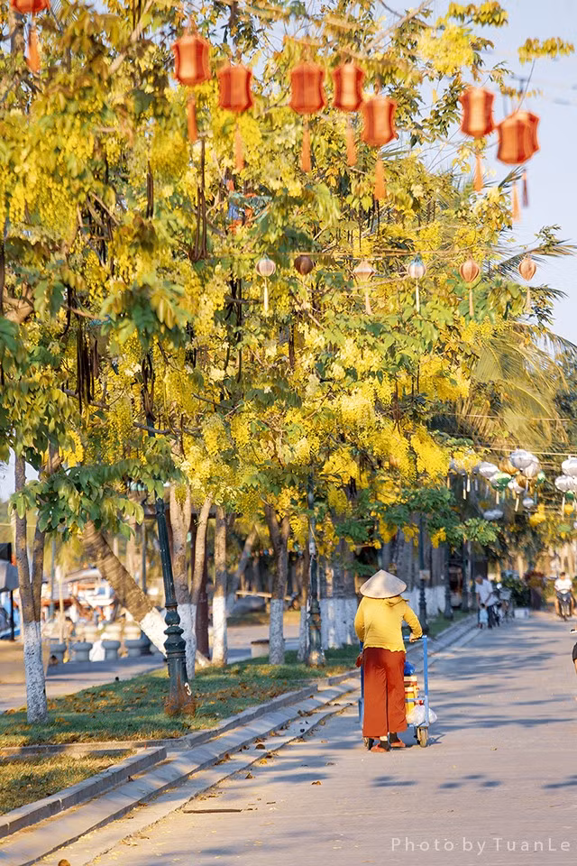 Từng con phố Hội An được nhuộm màu nắng