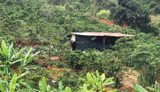 Căn chòi trên rẫy cà phê, nơi các nghi can tổ chức đá gà ăn tiền ẢNH: G.B