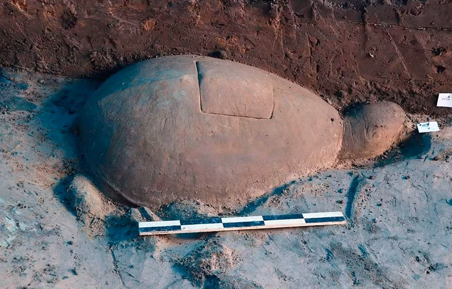 Rùa đá có kích thước 56x93 cm được cho là có từ thế kỷ thứ 10. (Nguồn: AP)