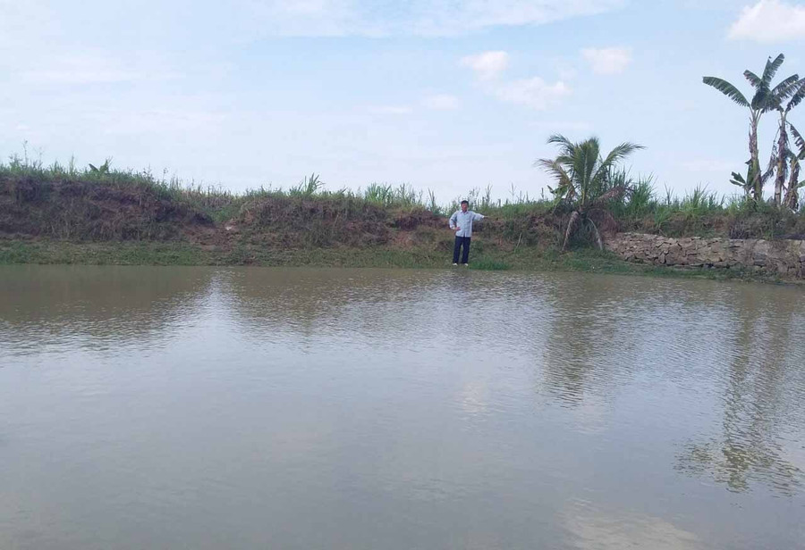 Ao của gia đình ông Trịnh Ngọc Thay (thôn 5, xã Thành An, thị xã An Khê) mênh mông nước sau trận mưa tối ngày 20-5. Ảnh: Ngọc Minh