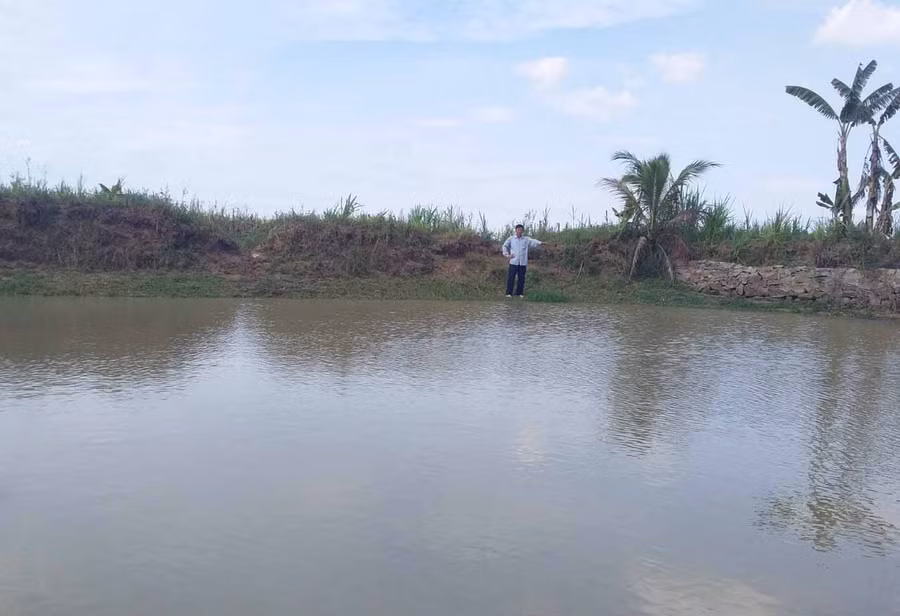 Ao của gia đình ông Trịnh Ngọc Thay (thôn 5, xã Thành An, thị xã An Khê) mênh mông nước sau trận mưa tối ngày 20-5. Ảnh: Ngọc Minh