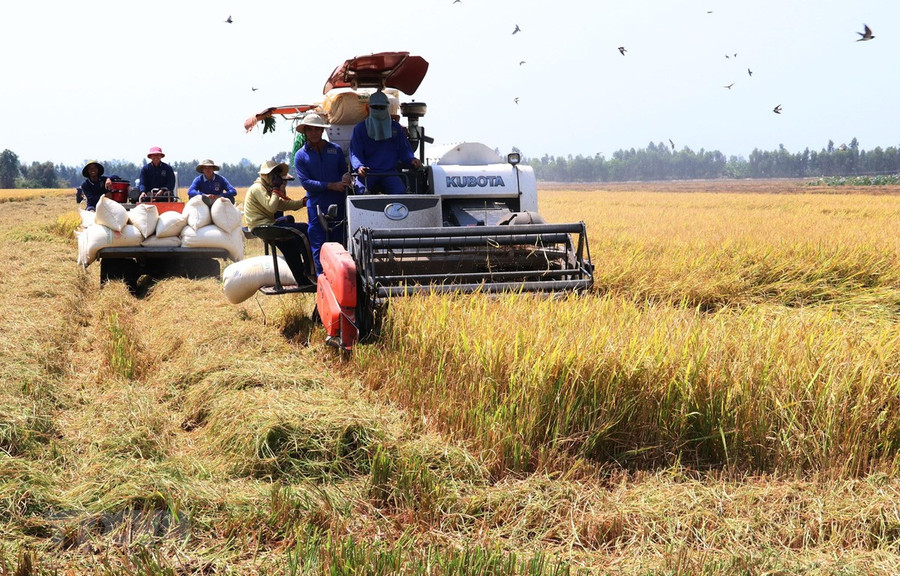 Đồng Tháp đưa máy gặt đập liên hợp vào thu hoạch lúa. (Ảnh: Nguyễn Văn Trí/TTXVN) Đồng Tháp đưa máy gặt đập liên hợp vào thu hoạch lúa. (Ảnh: Nguyễn Văn Trí/TTXVN)