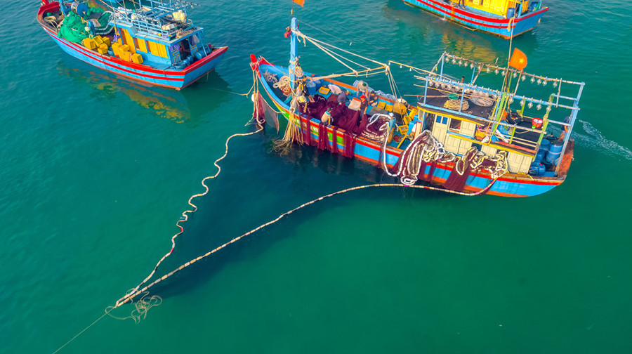 Cảnh người dân mua bán cá lúc bình minh