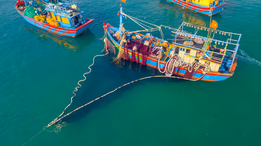 Cảnh người dân mua bán cá lúc bình minh