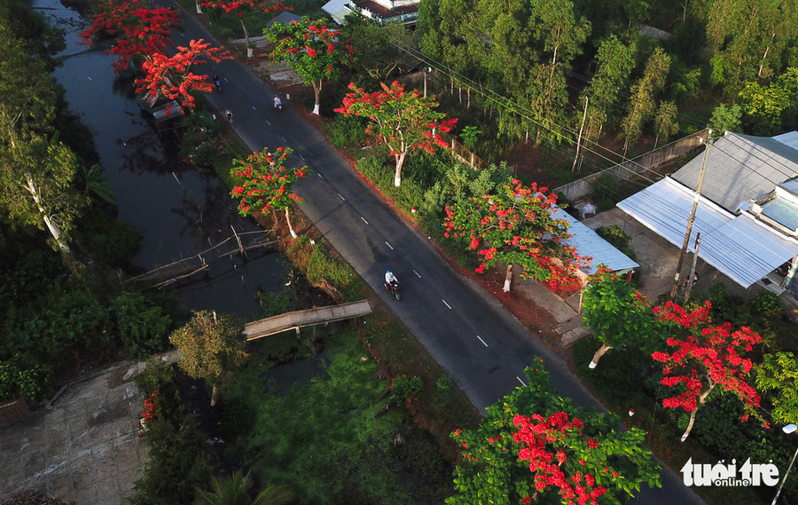 Đường chạy dọc theo một con kênh với những chiếc cầu bắc qua để phục vụ việc đi lại của người dân địa phương - Ảnh: CHÍ QUỐC