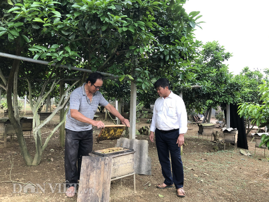 Đến nay, gia đình ông Trần Đình Phong có kinh tế ổn định và khá giả nhờ nghề nuôi ong mật.