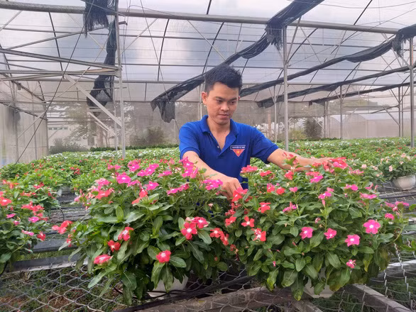 Nguyễn Hoàng Duy Lưu bên khu vườn tại Ban quản lý Khu Nông nghiệp công nghệ cao - Ảnh: C.K.