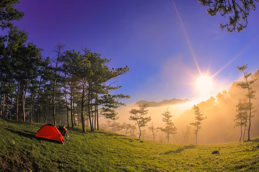 Bình minh lên sau những đồi thông ở đồi cỏ hồng Ankroet. Đi xa hơn về phía hồ Suối Vàng là đồi cỏ hồng Ankroet. Nếu du khách đi vào dịp tháng 11-12 hằng năm còn có thể ngắm cỏ hồng khoe sắc khắp cả thung lũng. Cỏ hồng thực chất có màu tím nhạt nhưng sáng sớm có sương đọng trên ngọn cỏ được khúc xạ bởi nắng sớm làm màu của loài cỏ này dường như ánh hồng.