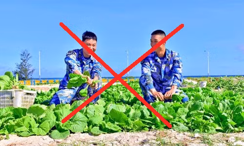 Binh lính Trung Quốc đồn trú trái phép trên đảo Phú Lâm thuộc quần đảo Hoàng Sa của Việt Nam thu hoạch rau xanh trồng trên cát - Ảnh chụp màn hình Hoàn Cầu thời báo