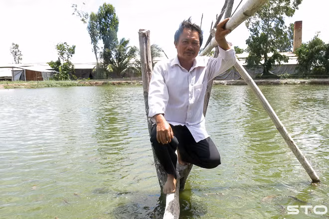 Từ ngày chuyển qua nuôi cá chạch quế, ông Nguyễn Trọng Thảo bỏ túi vài trăm triệu đồng/năm.