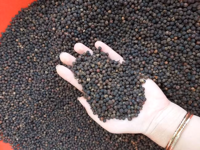 Giá tiêu bất ngờ tăng mạnh tới 7.000-7.500 đồng/kg chỉ trong 1 phiên. Đây là mức tăng cao nhất trong 1 năm nay. Ảnh: I.T