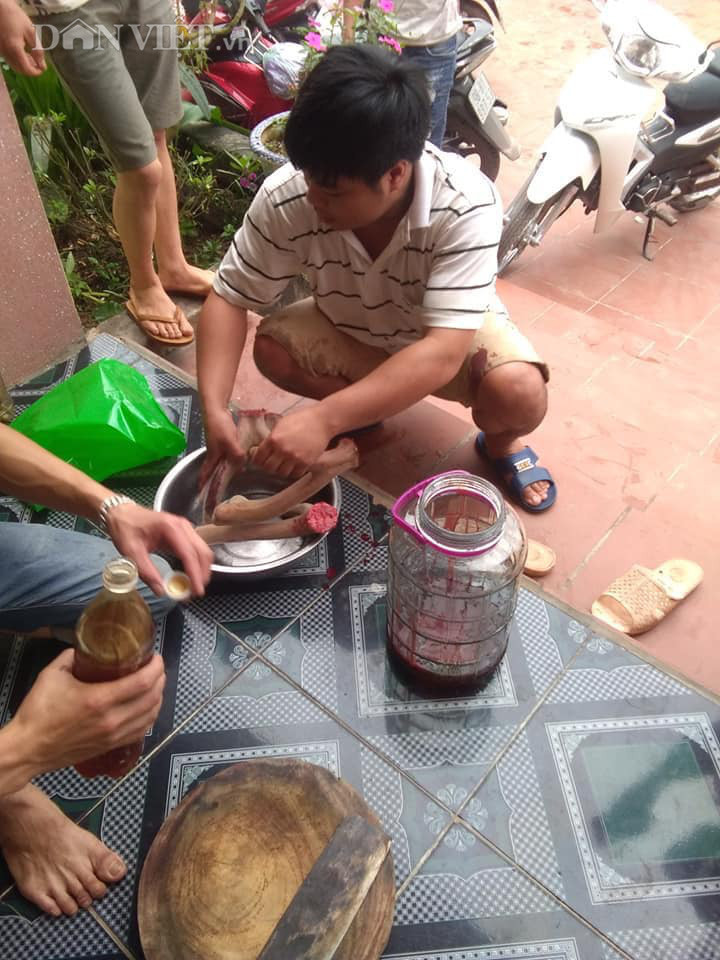 Theo anh Sơn, nhung hươu là dược liệu quý, ví như thứ thực phẩm 